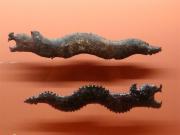 Coltelli in forma di serpente in ossidiana grigia 300-400 d.C.